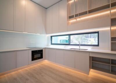 Modern kitchen with integrated appliances and ample storage