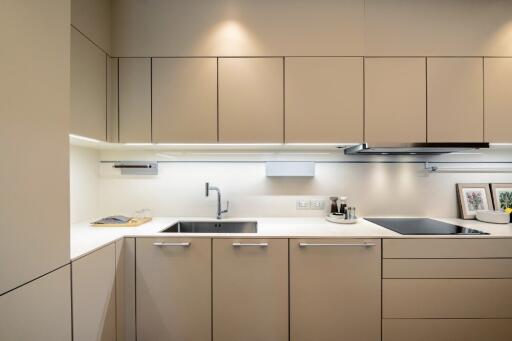 Modern kitchen with integrated appliances and ample storage