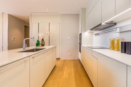 Modern kitchen with white cabinetry and island