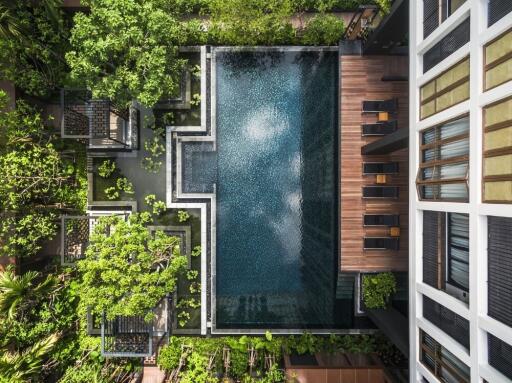 Top view of a swimming pool in a landscaped outdoor area surrounded by greenery and seating areas