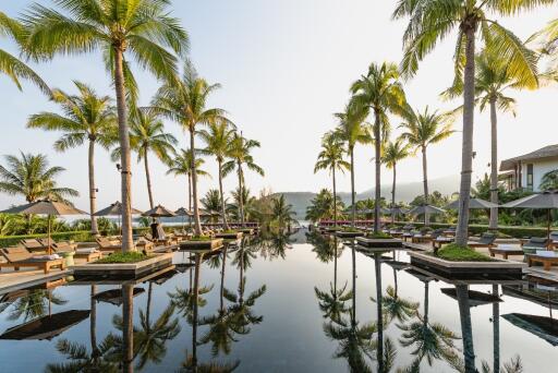 Luxurious outdoor pool area with palm trees and loungers