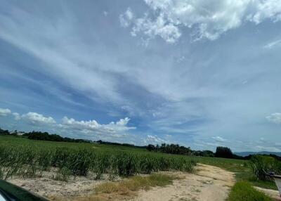 expansive field under a blue sky with scattered clouds