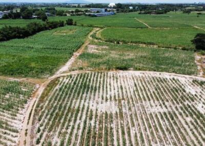 Aerial view of expansive farmland with various crops