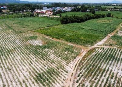 Aerial view of farmland with surrounding greenery and distant buildings