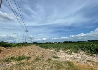 Open field with power lines under a clear sky