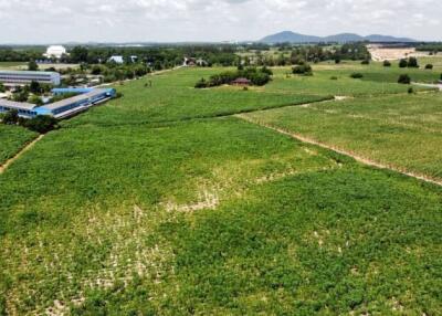 Aerial view of vast green agricultural land with buildings in the background