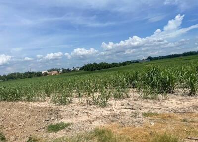 Spacious land area under clear blue skies