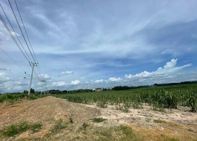 Open land with clear sky