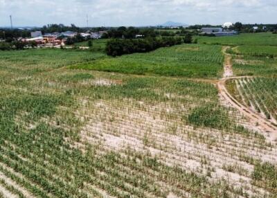 Aerial view of a sprawling agricultural field