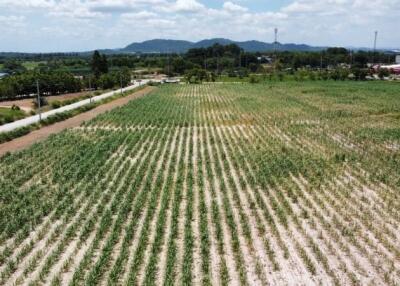 Aerial view of agricultural land