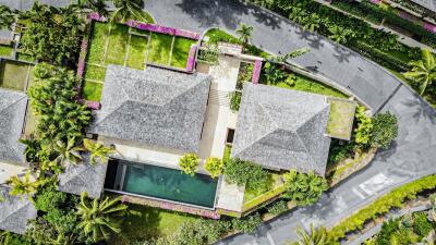 Aerial view of a residential property with lush landscaping