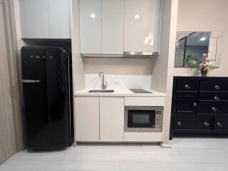 Compact modern kitchen with integrated appliances