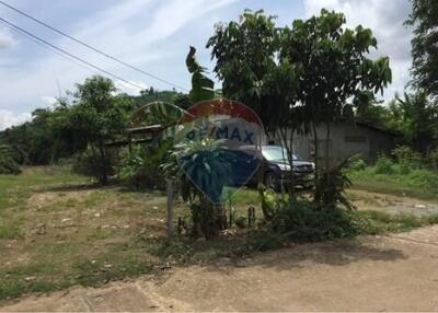 Lamyai Fruit Farm Land In Chanthnaburi for Sale (13 Rai)