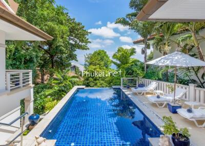 Swimming pool in a tropical outdoor setting