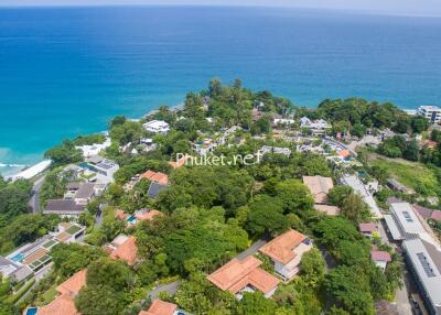 Aerial view of coastal properties and lush greenery