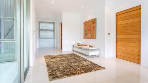 Entrance hallway with a brown rug