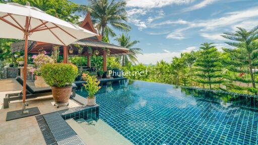 Infinity pool with tropical landscape and patio area