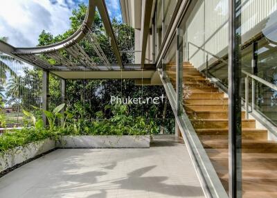 Balcony with greenery and staircase