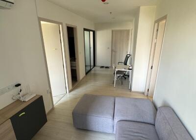 Minimalist living room with grey couch and wooden flooring