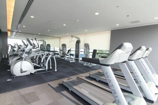 Modern gym with exercise equipment