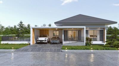 Modern single-story house with a two-car garage