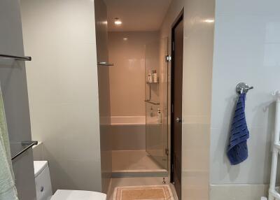 Modern bathroom with shower and towel hangers