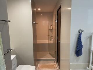 Modern bathroom with shower and towel hangers