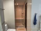 Modern bathroom with shower and towel hangers