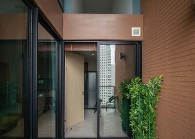 Modern building entrance with glass doors and indoor plants