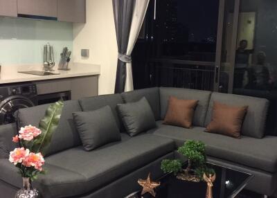 Modern living room with gray L-shaped sofa, decorative plants, glass coffee table, and kitchen area in the background