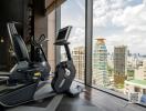 Home gym with skyline view