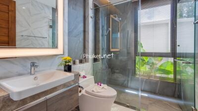 Modern bathroom with glass shower, vanity sink, and toilet