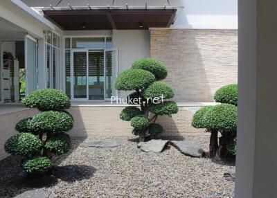 Outdoor garden area with trimmed bushes