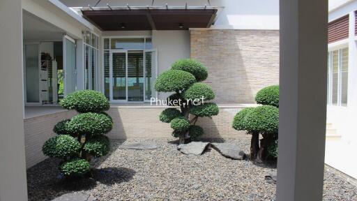 Outdoor garden area with trimmed bushes