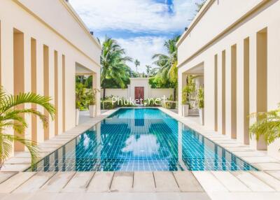 Modern outdoor pool area with palm trees and blue sky