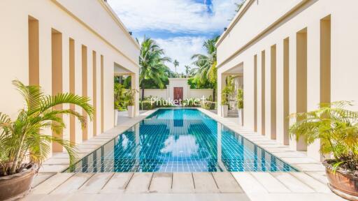 Modern outdoor pool area with palm trees and blue sky