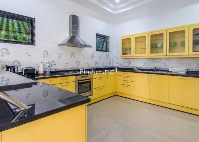 Modern kitchen with yellow cabinets and black countertops