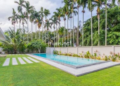 Outdoor area with swimming pool and palm trees