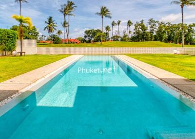Outdoor swimming pool with palm trees and greenery