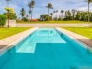 Outdoor swimming pool with palm trees and greenery