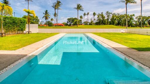 Outdoor swimming pool with palm trees and greenery