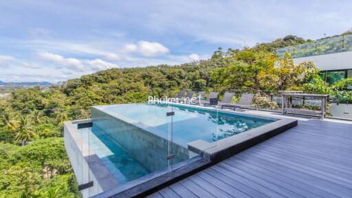 Modern outdoor pool with forested hillside view