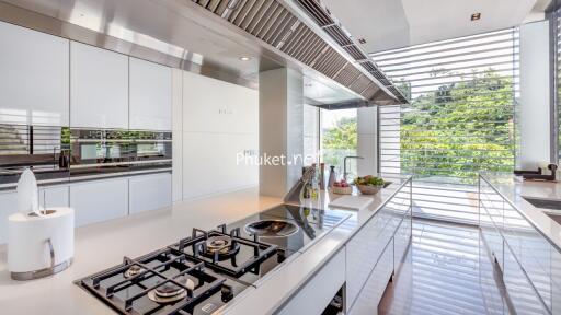 Modern kitchen with stove and countertop