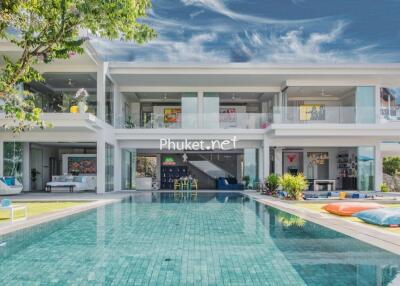 Modern luxury villa with pool