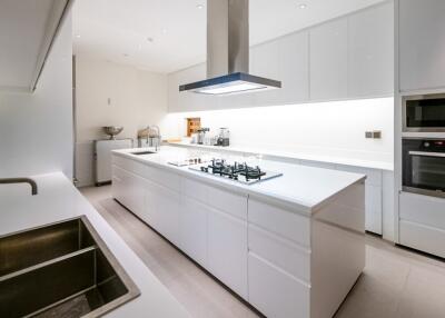 Modern kitchen with white cabinetry and appliances