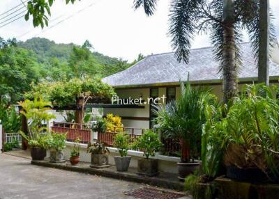 Exterior view of house surrounded by lush greenery