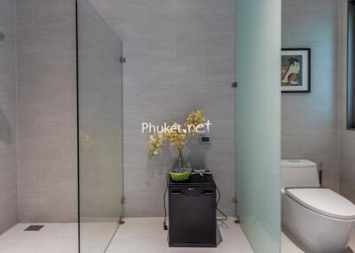Modern bathroom with shower, toilet, and decorative plant