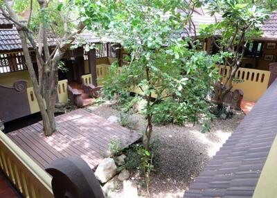 Courtyard with greenery and wooden deck