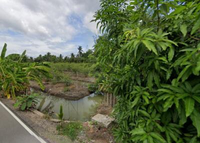 Exterior view of the property featuring lush greenery and a small water canal.