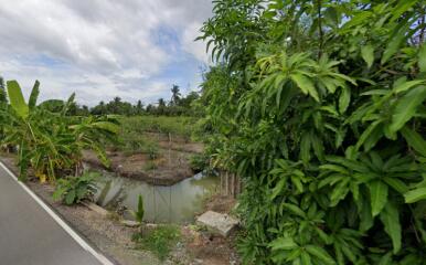 Exterior view of the property featuring lush greenery and a small water canal.